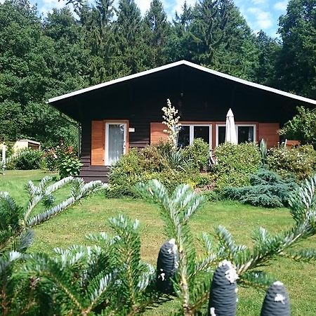 Chalet Harmonie Harzgerode Extérieur photo