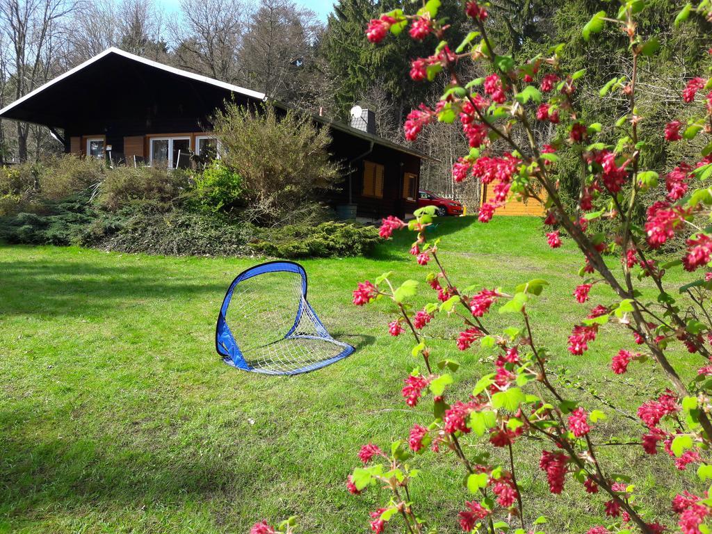 Chalet Harmonie Harzgerode Extérieur photo