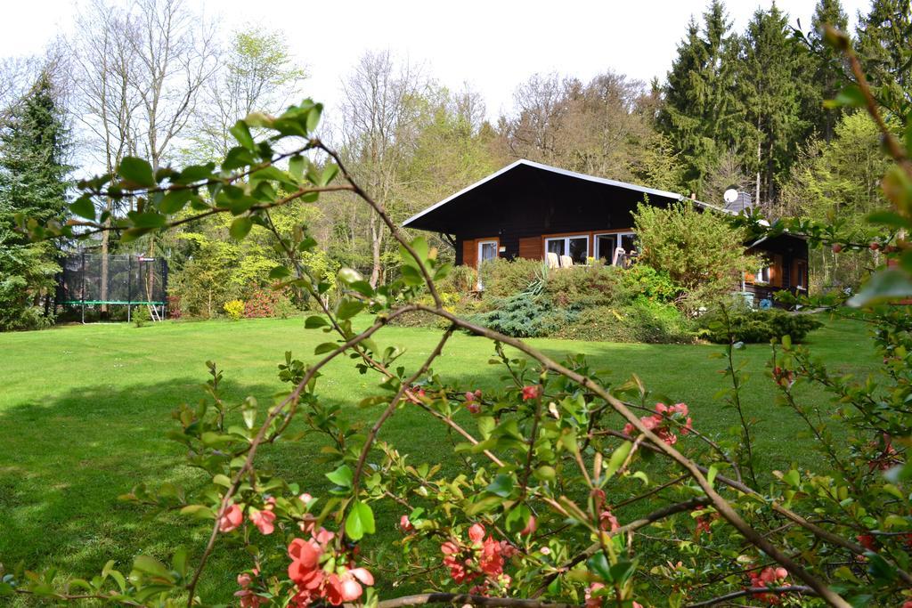 Chalet Harmonie Harzgerode Extérieur photo