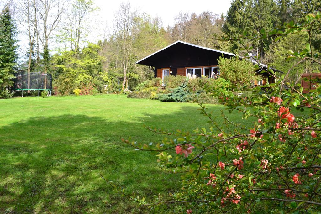 Chalet Harmonie Harzgerode Extérieur photo